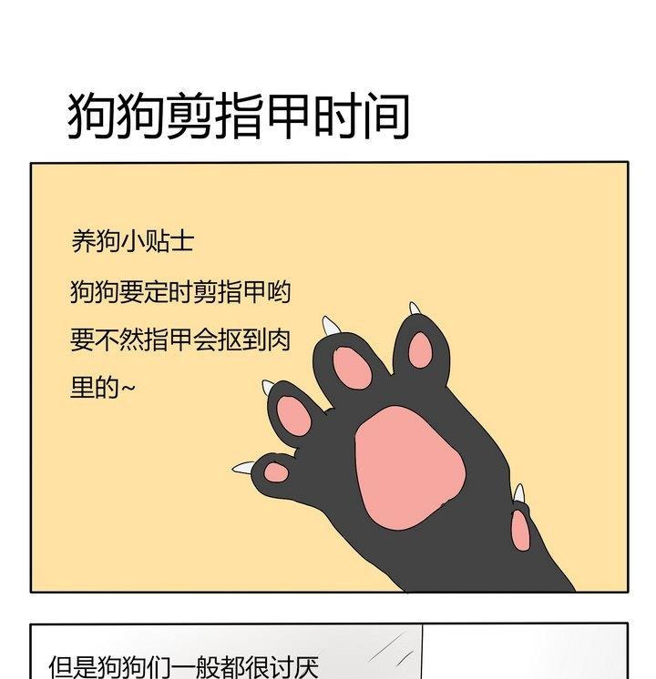 第173话 狗狗剪指甲时间0