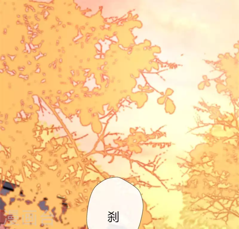 第83话 伤痕6