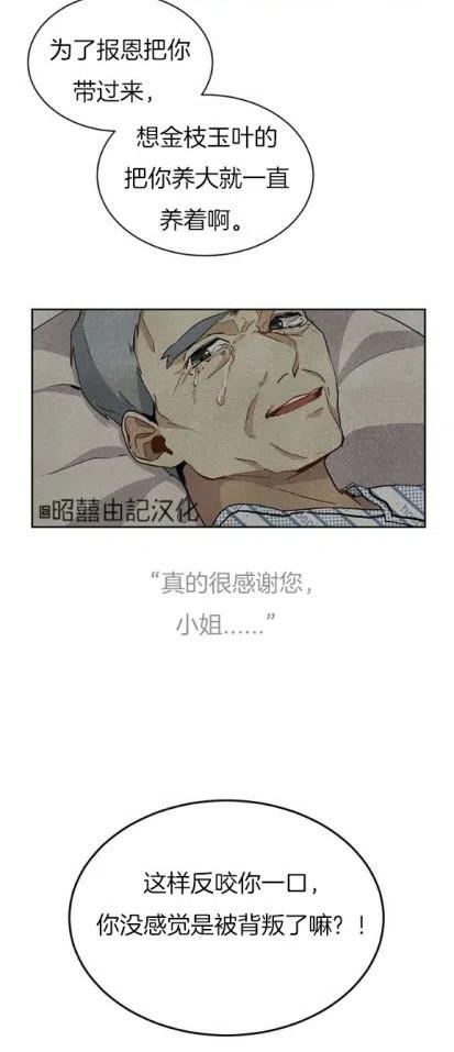 第5话13