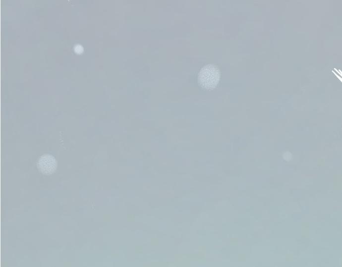 完结话207