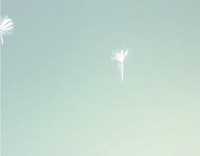 完结话209