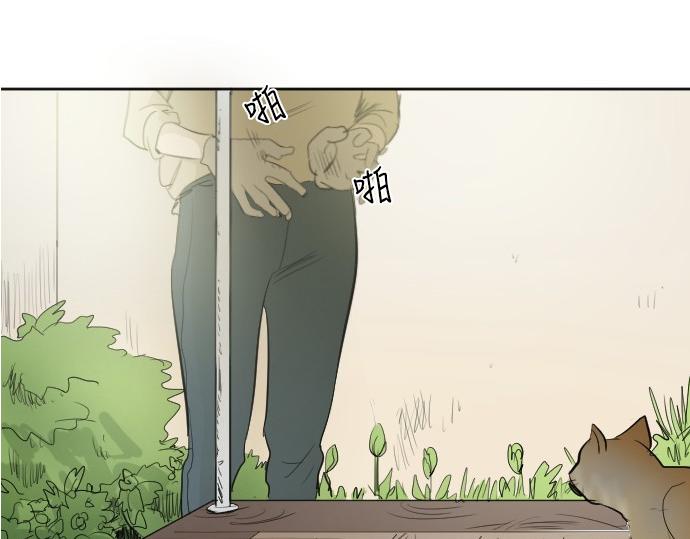 完结话224