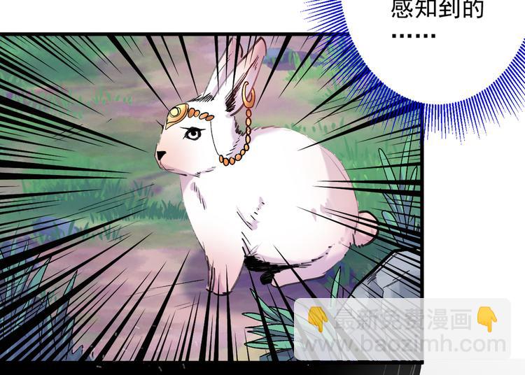 第27话 胭脂兔我来啦！！95