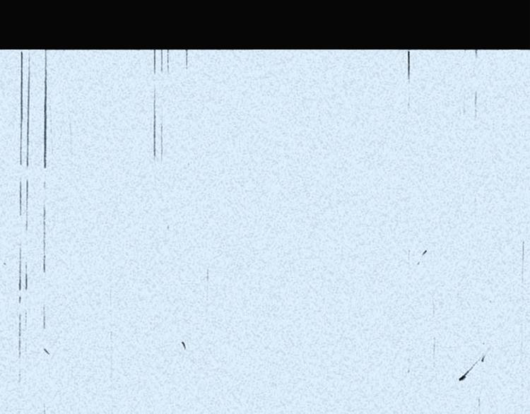 03162