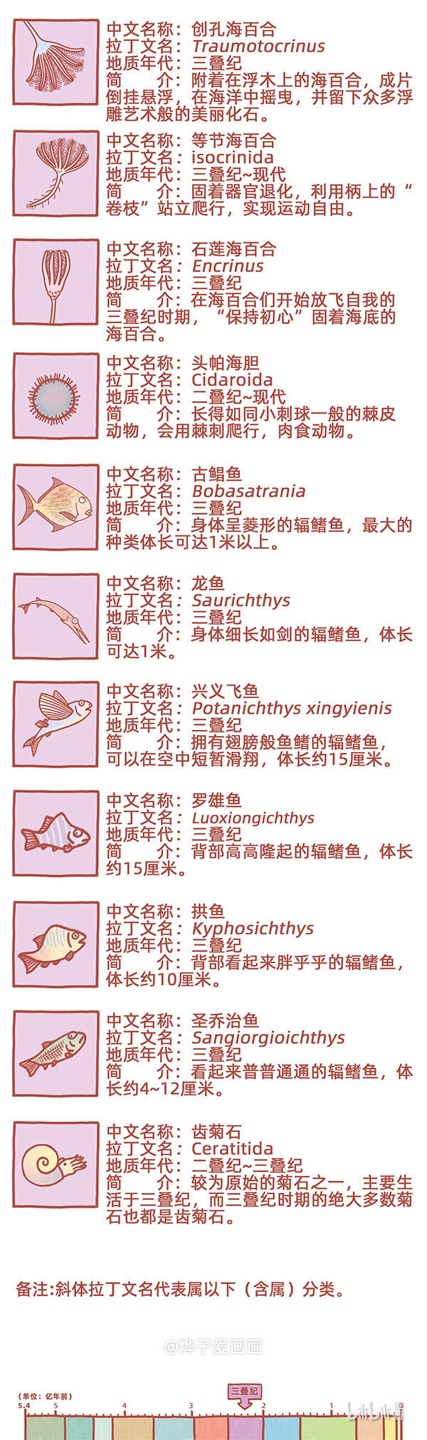 物种名片 三叠纪21