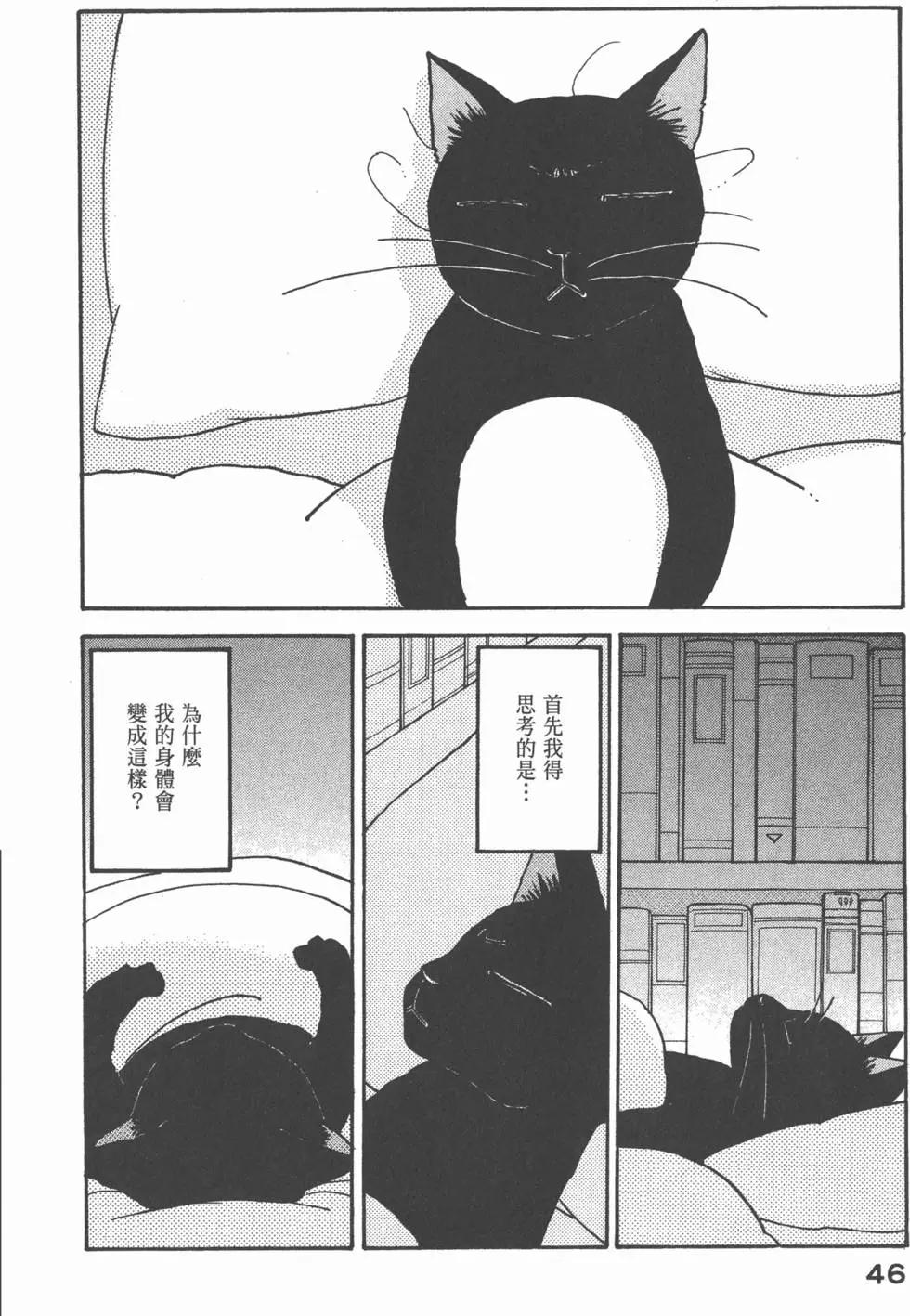 第27卷46