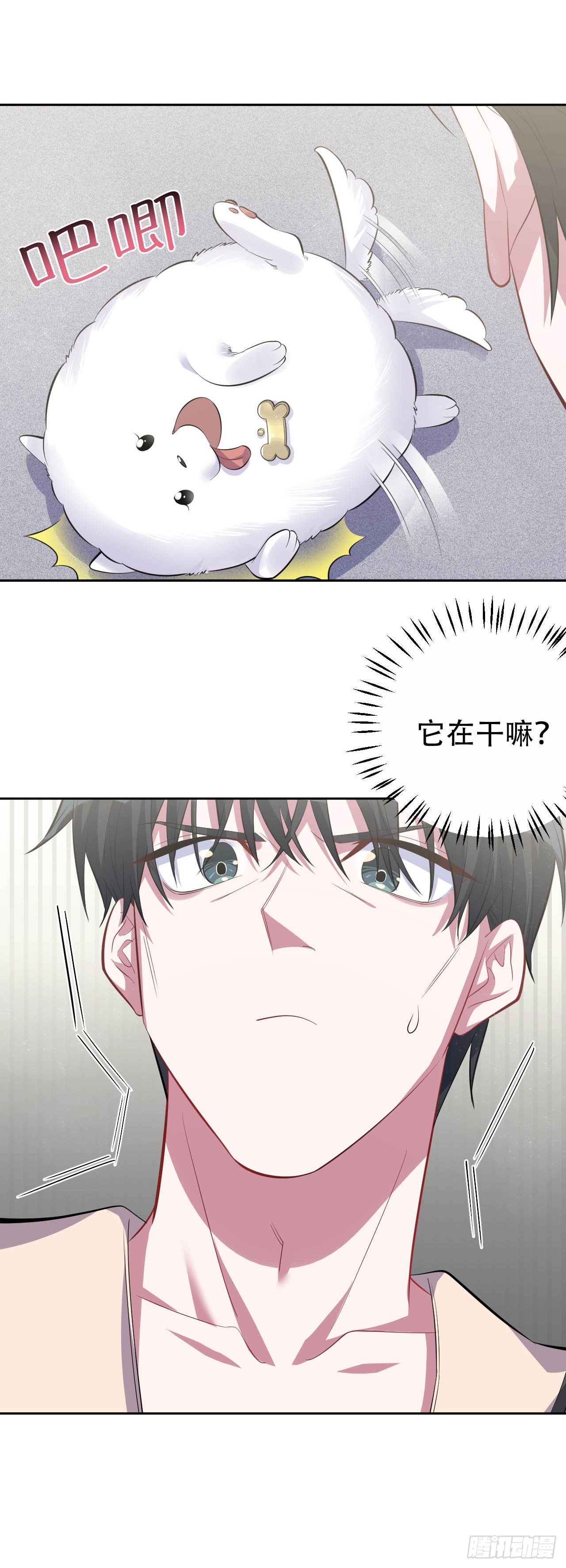 27.球球的逆袭！15