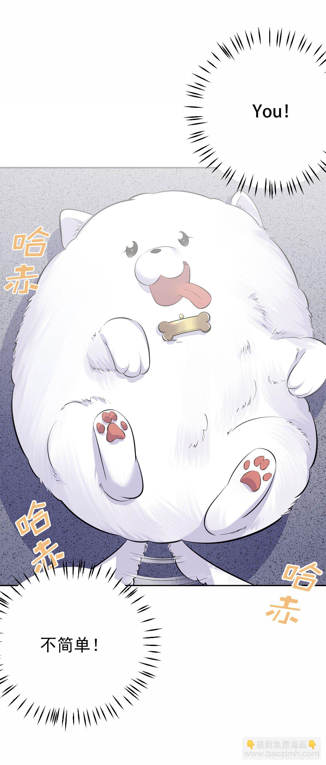 27.球球的逆袭！18