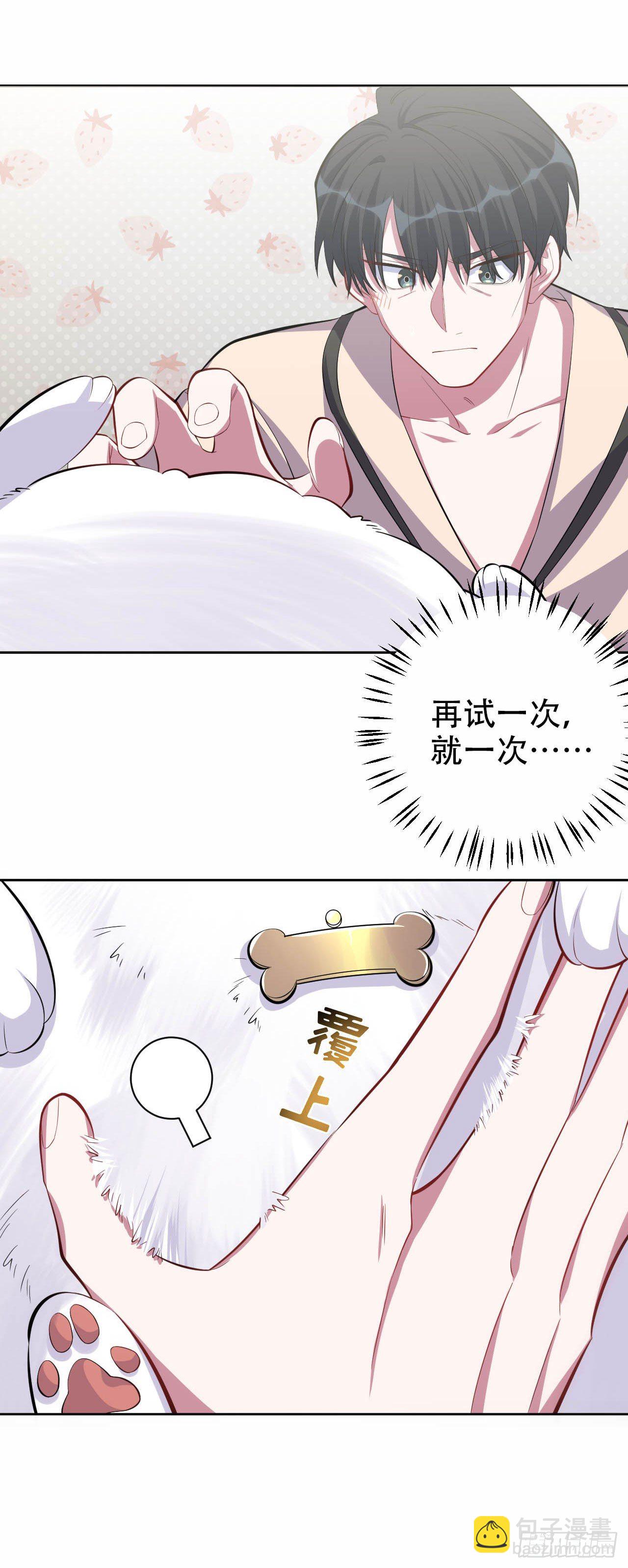 27.球球的逆袭！19