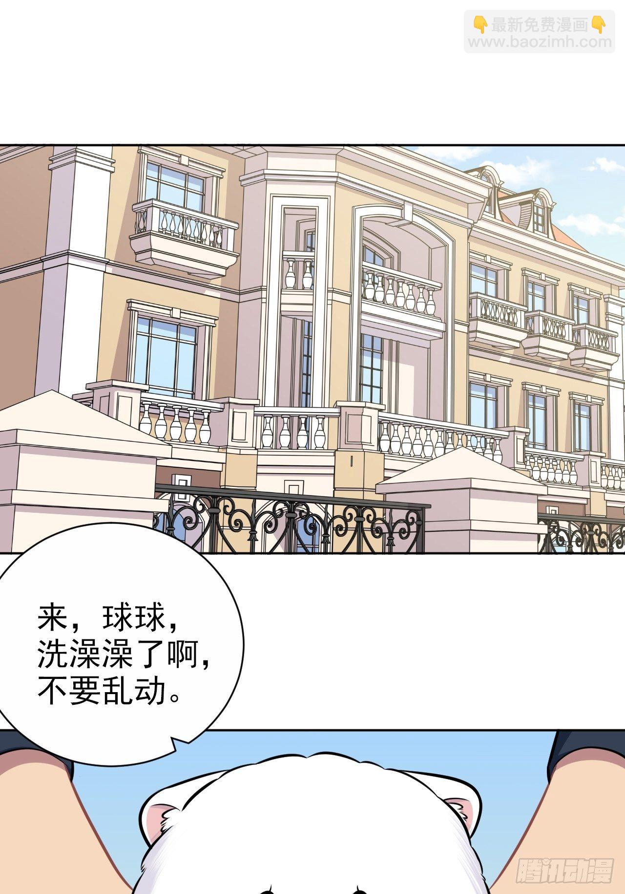 178.小可拔牙1