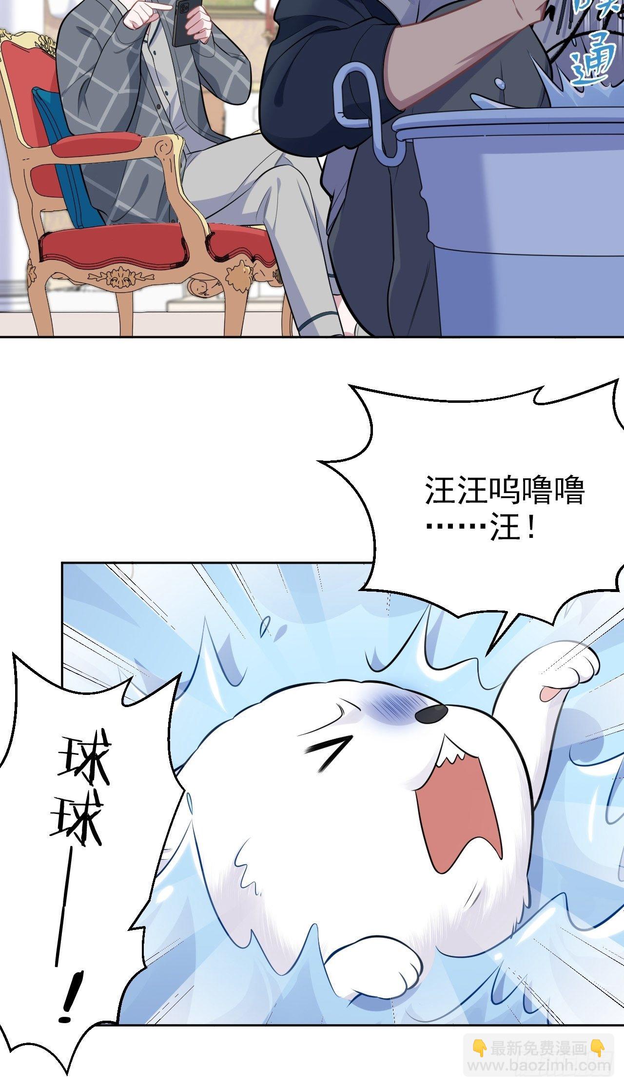 178.小可拔牙7