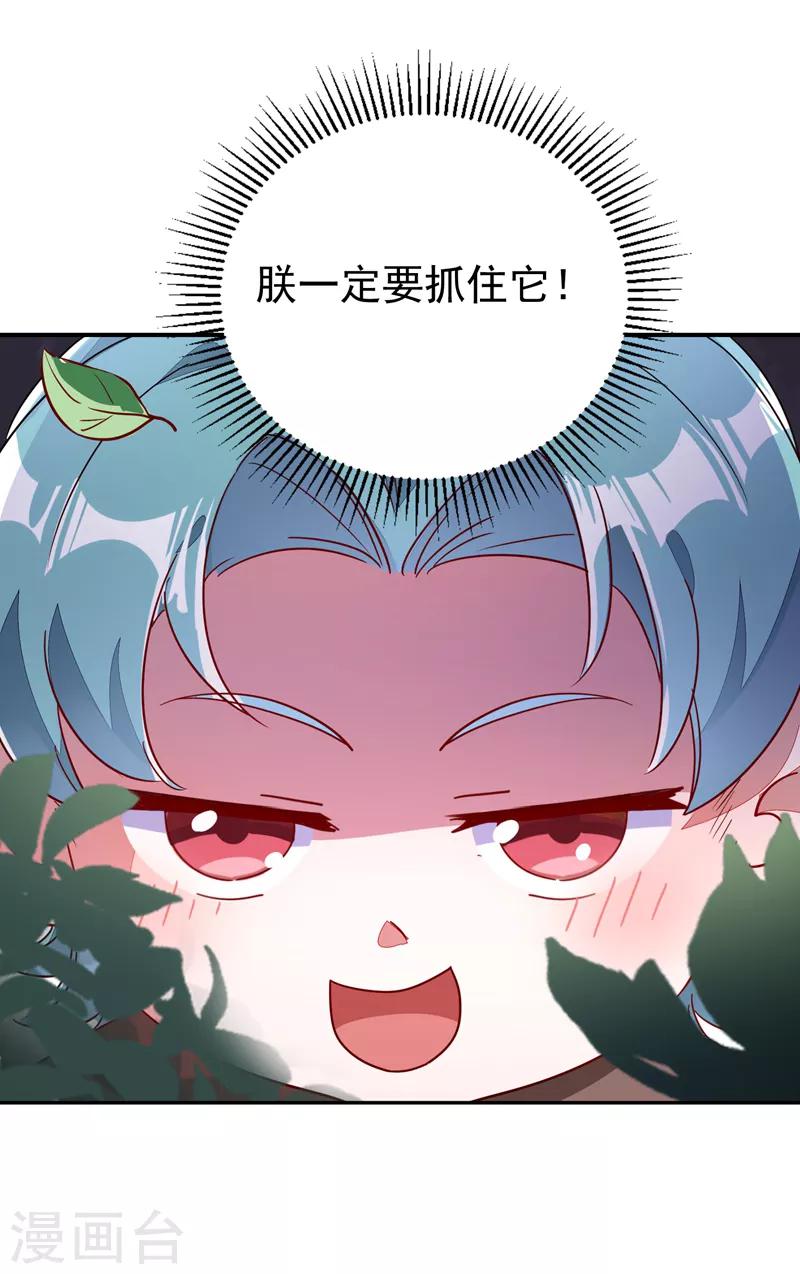 第24话 神仙姐姐？1