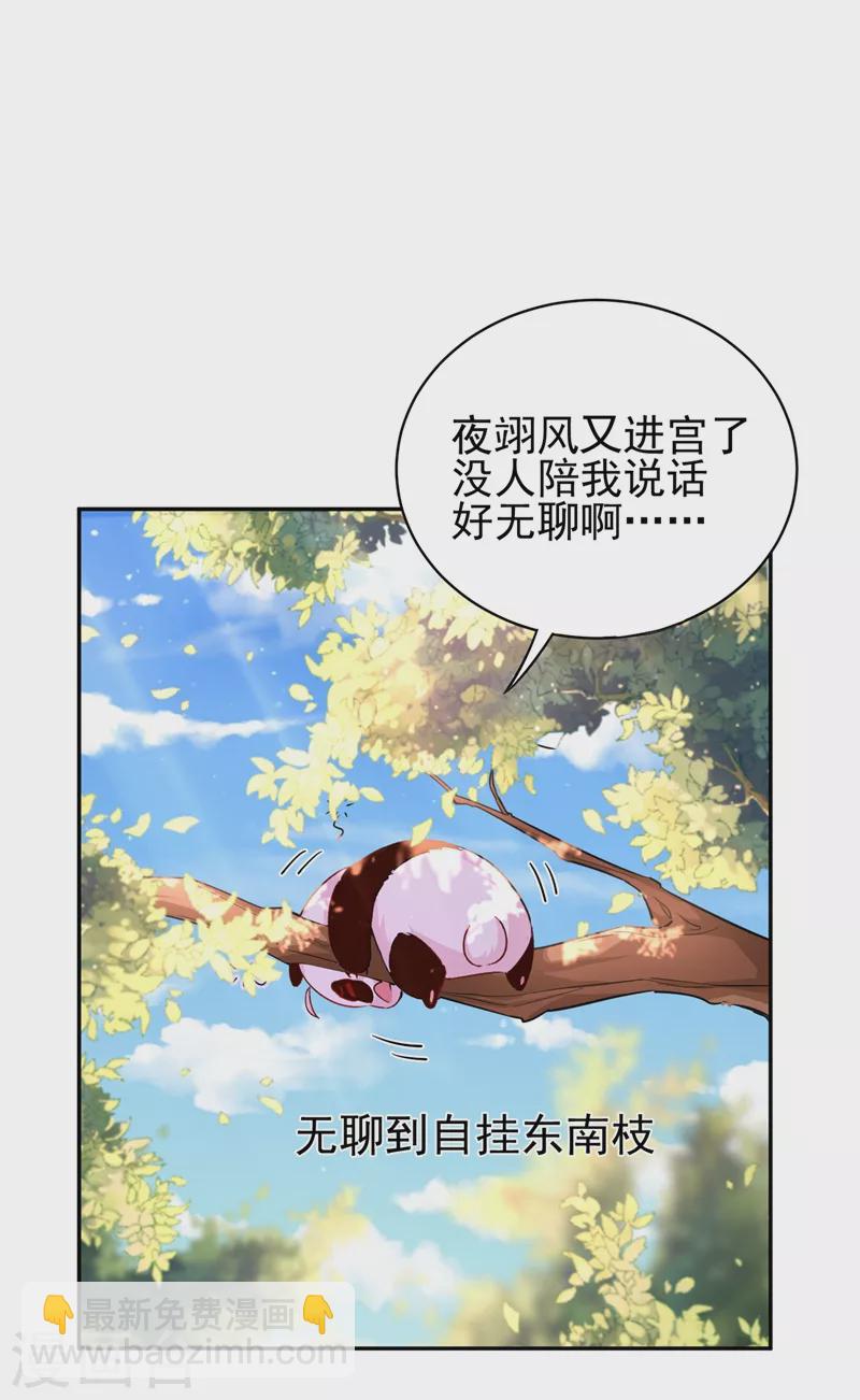 番外1 被蜜蜂蛰了的那点事儿1