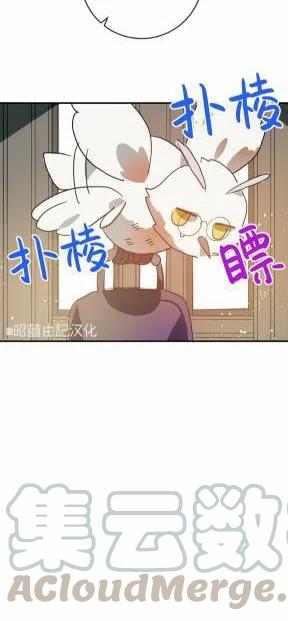 第25话33