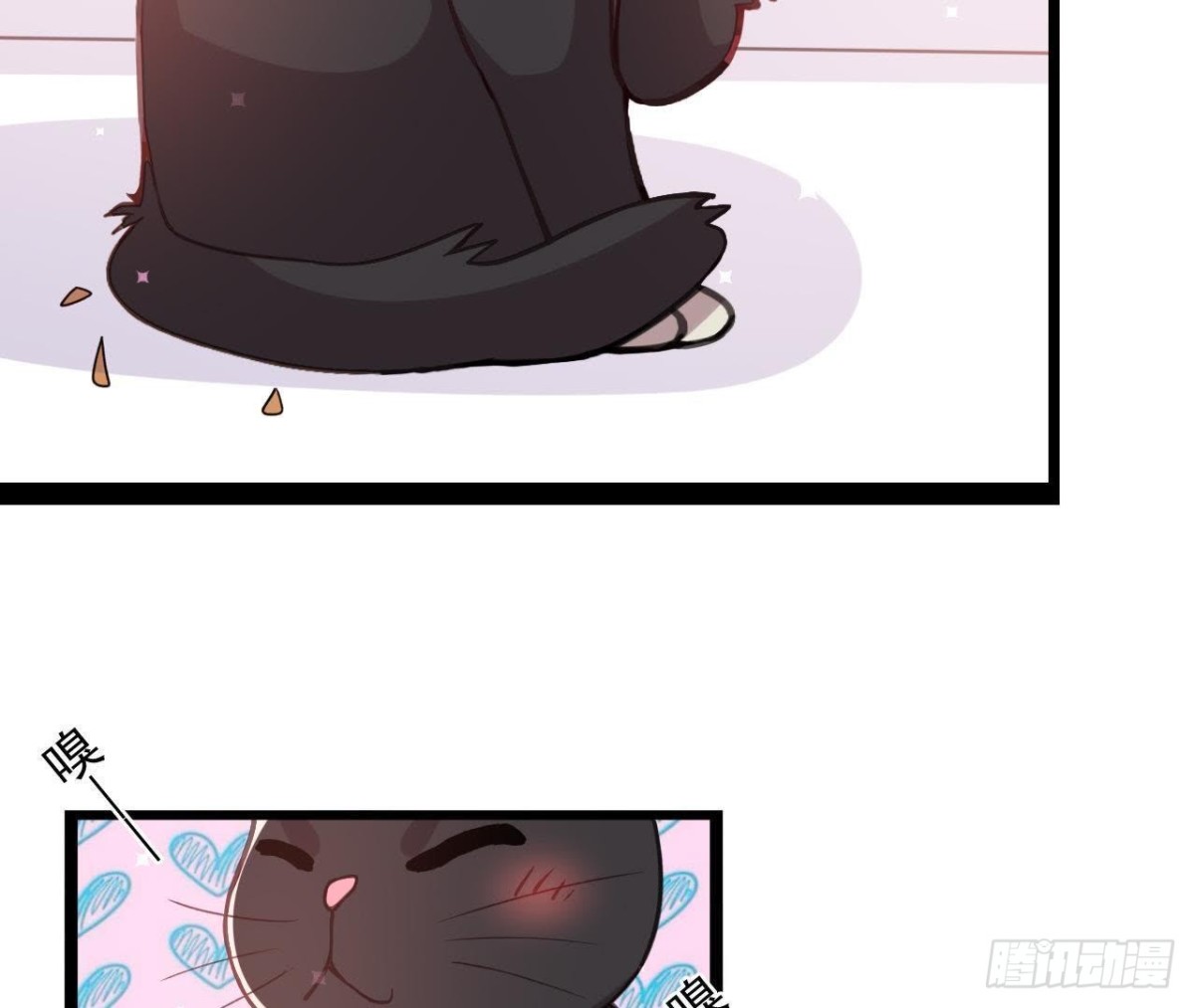诱猫达人12