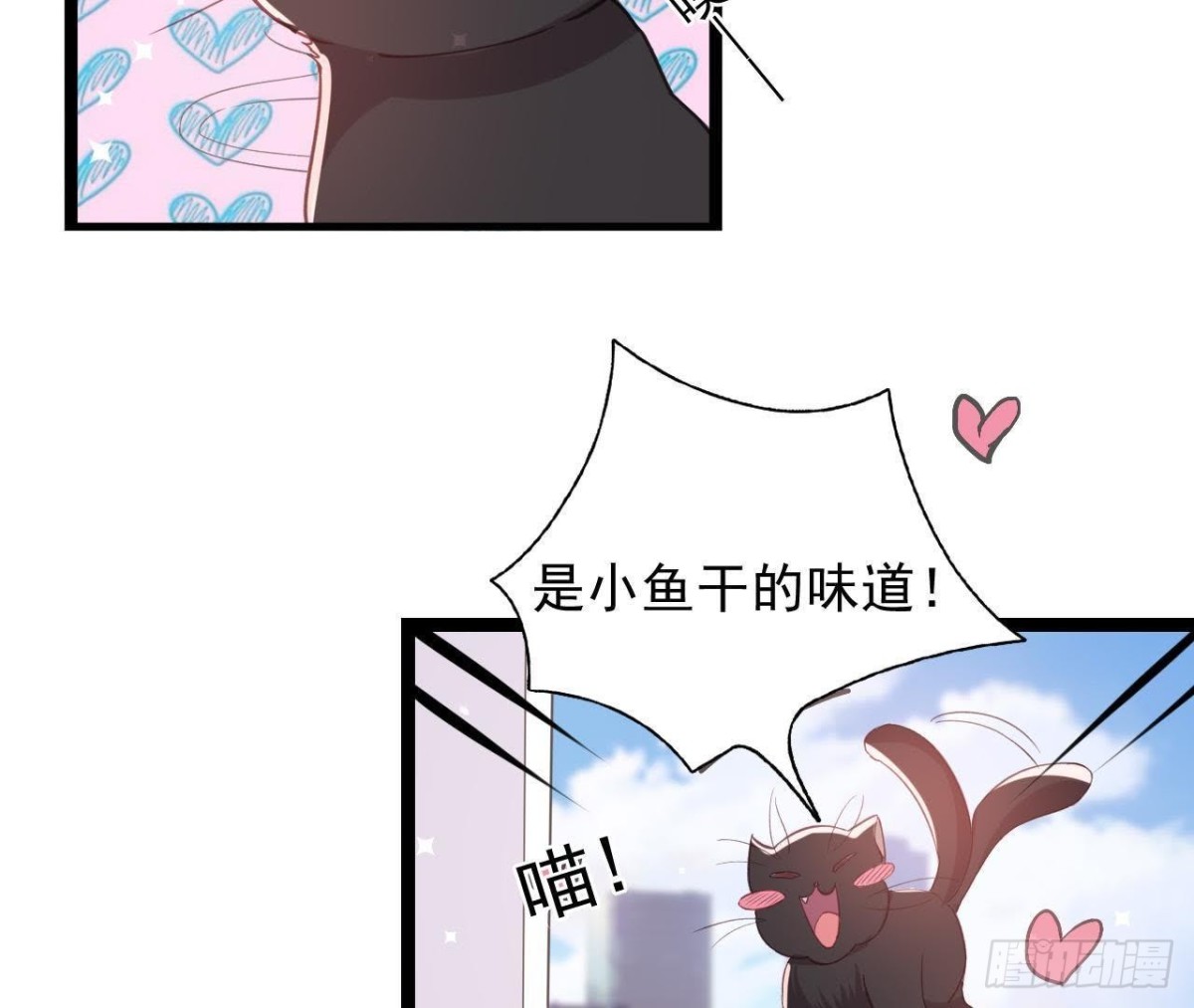 诱猫达人13