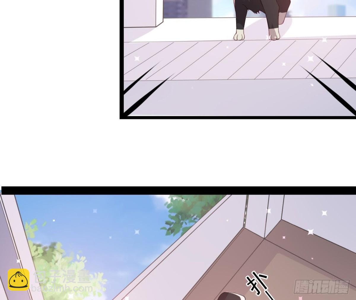 诱猫达人14