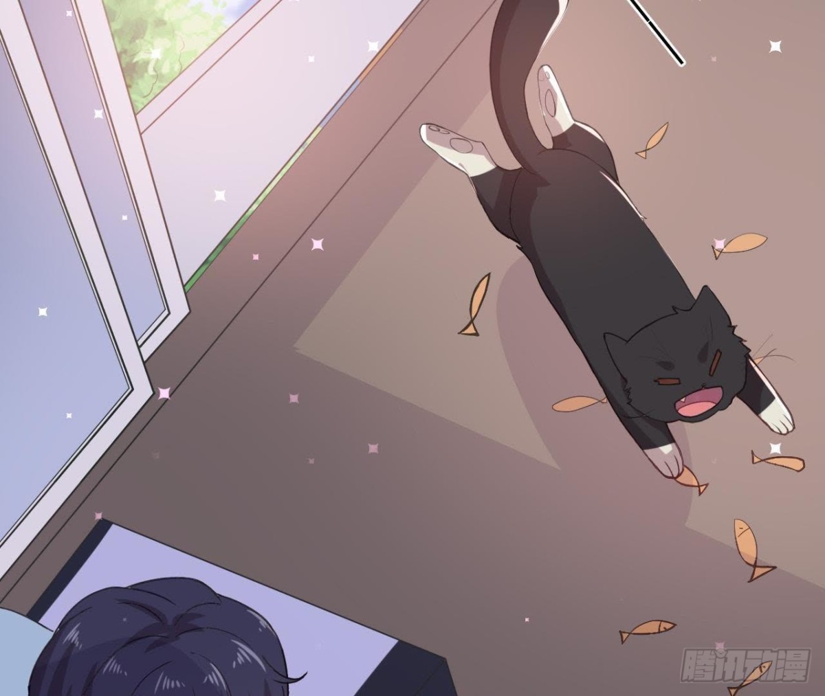 诱猫达人15