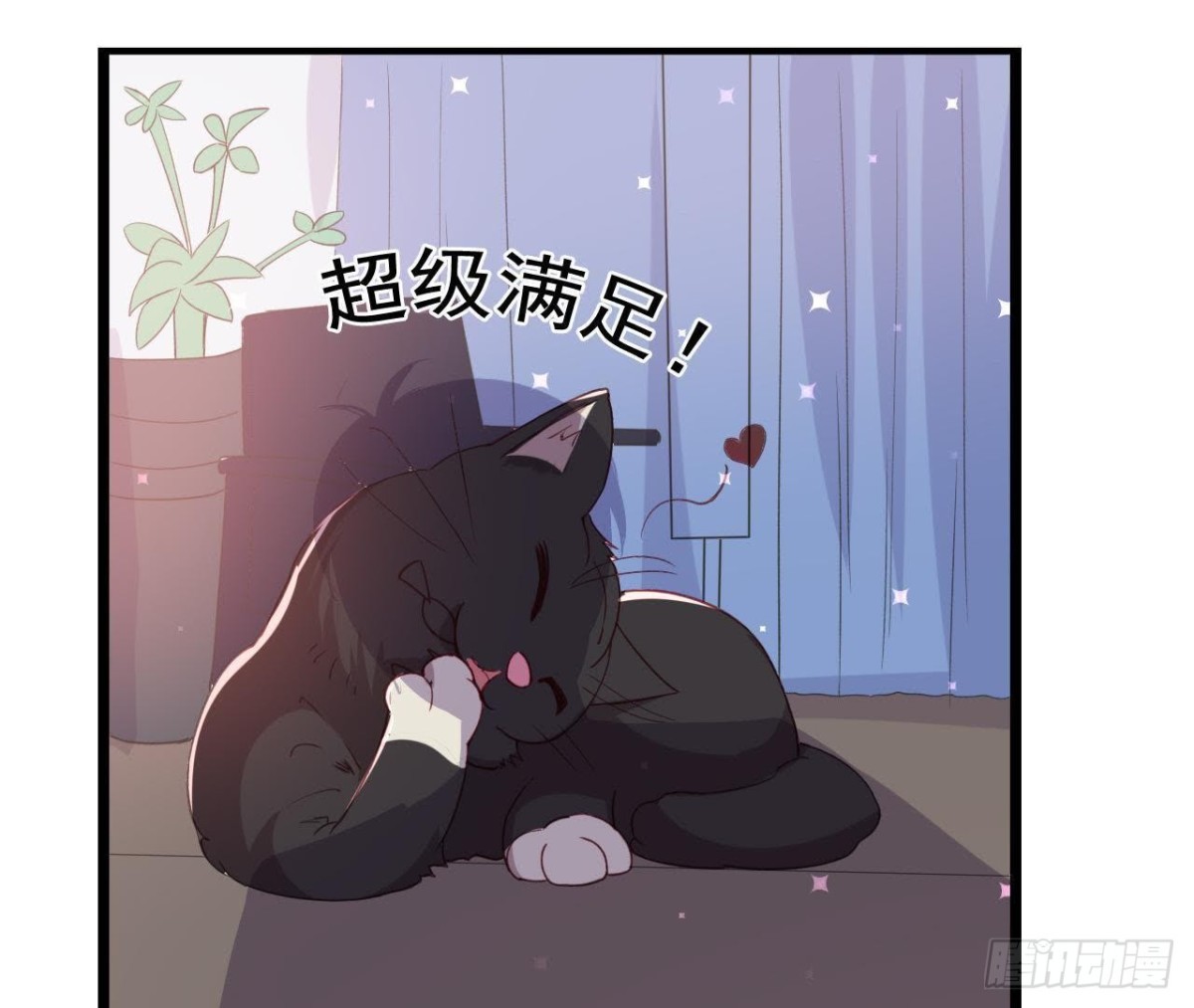 诱猫达人17
