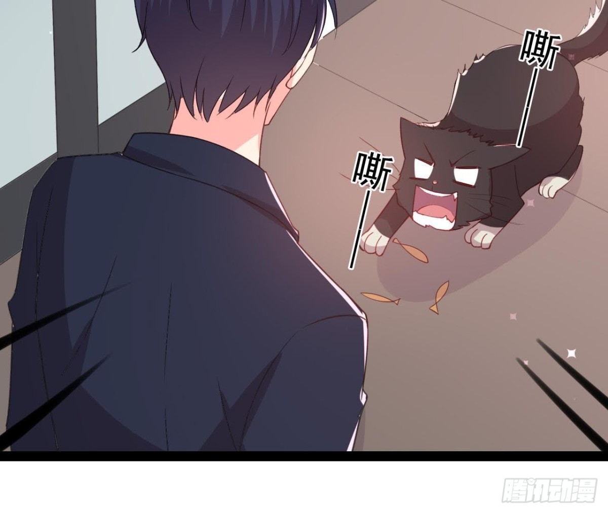 诱猫达人19