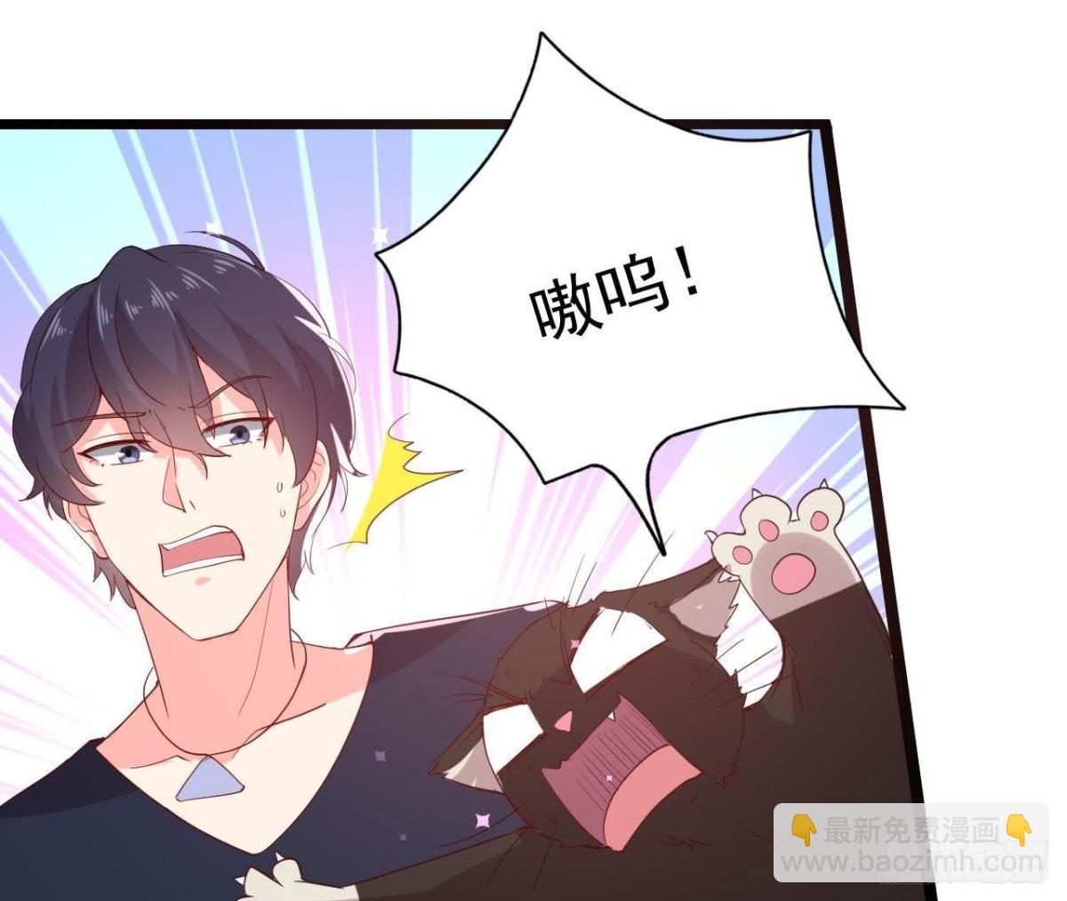诱猫达人23