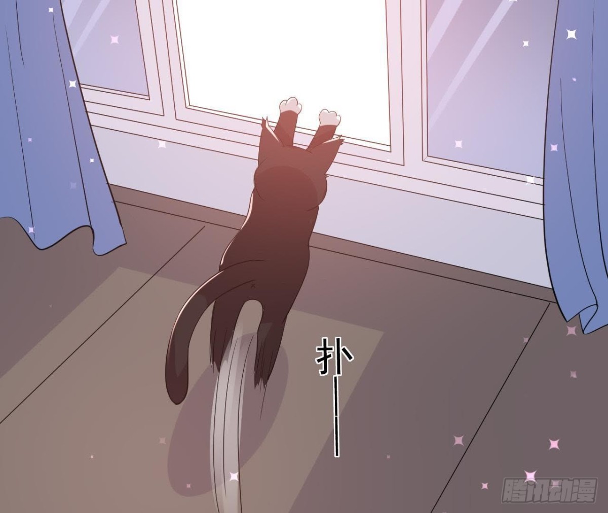 诱猫达人25