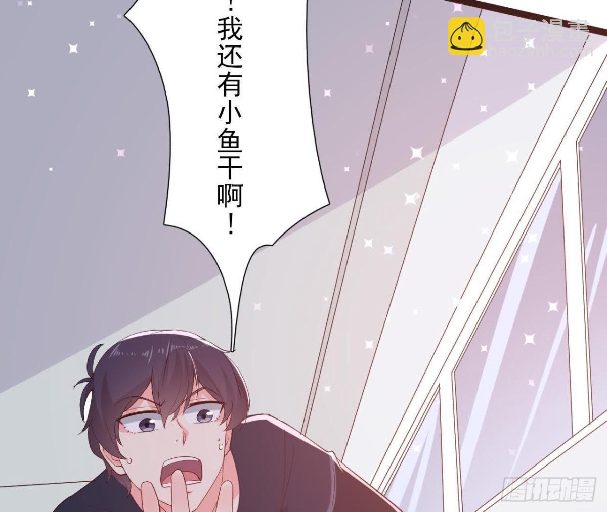 诱猫达人27