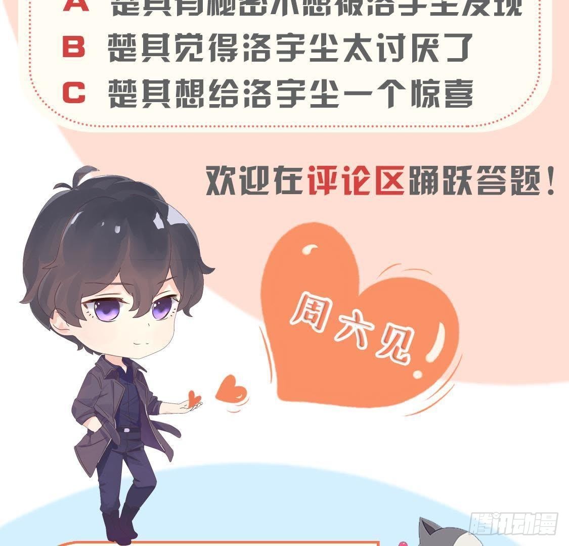 诱猫达人58