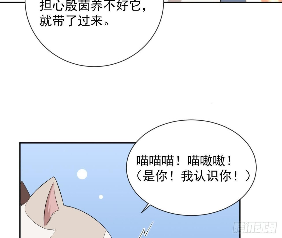 第166话 还有一个！？50