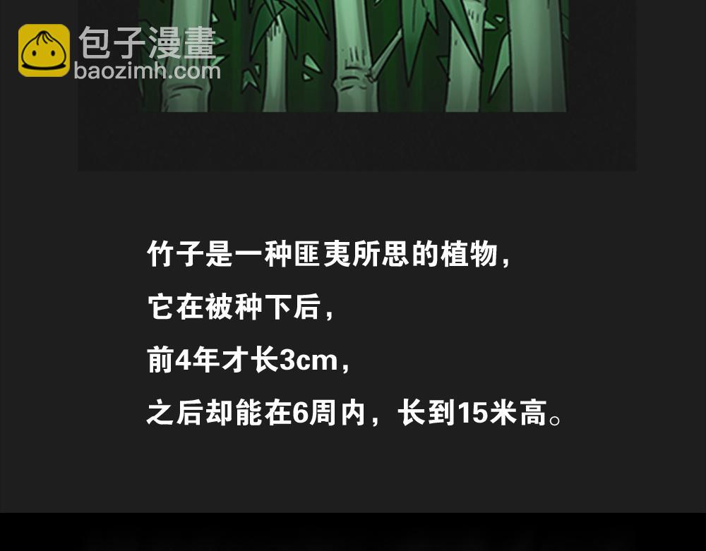 竹人1