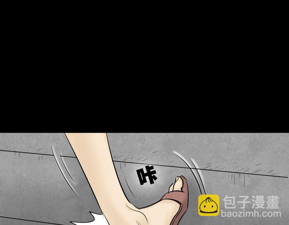 毁容相机295