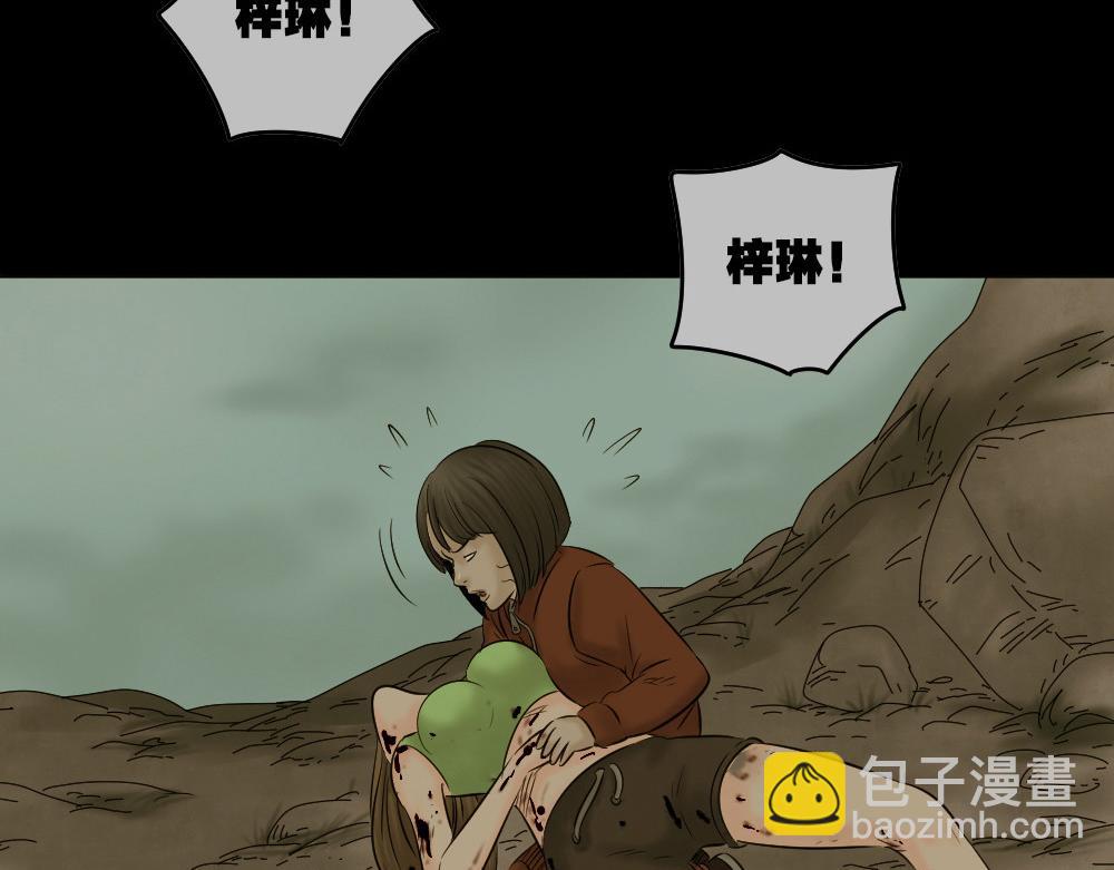 阿莎337