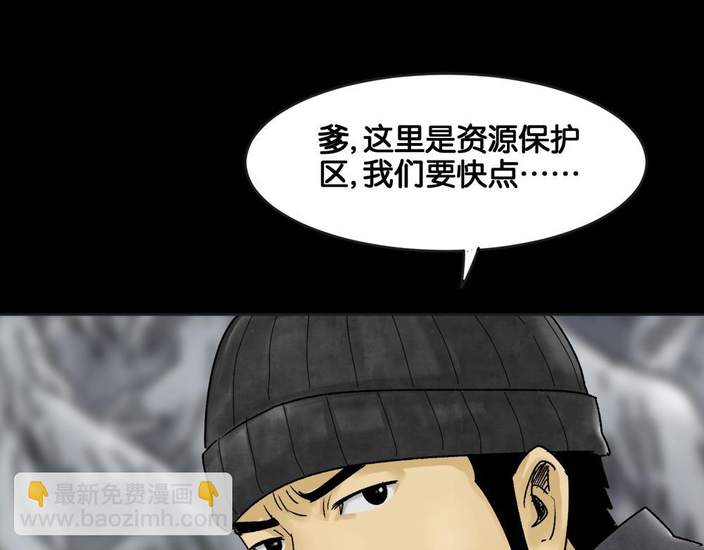 血树12