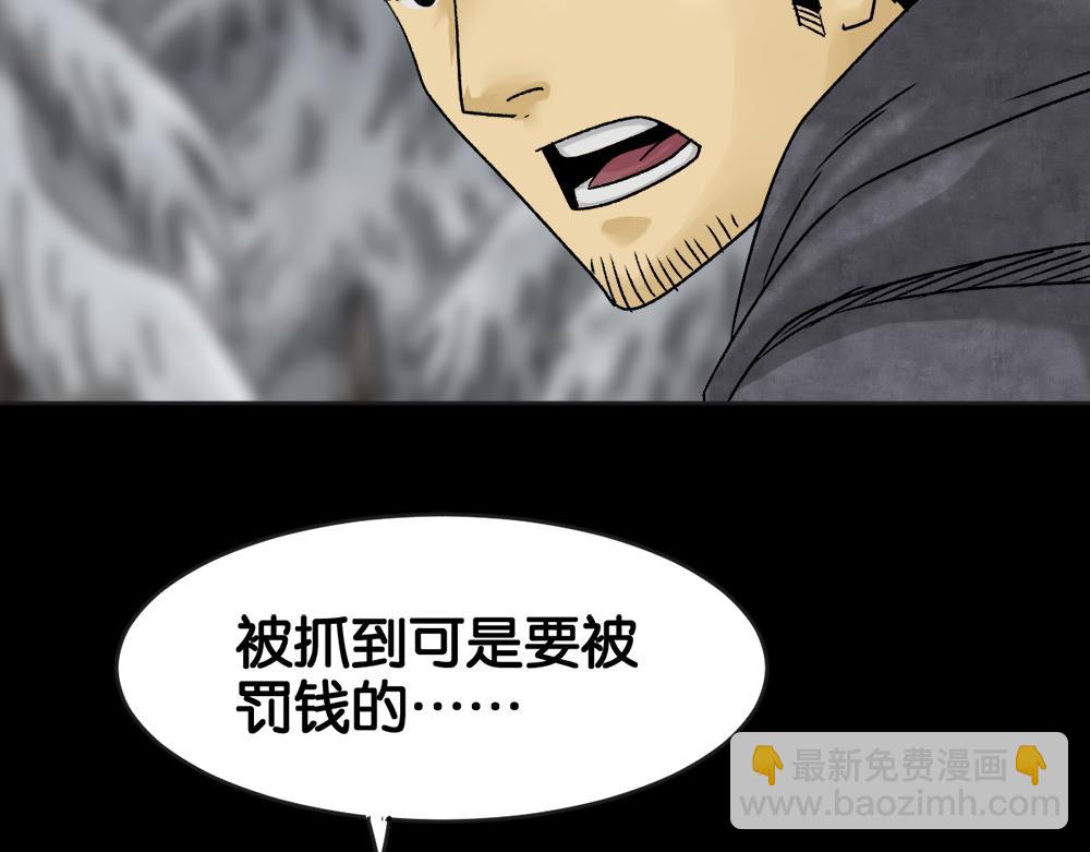 血树13
