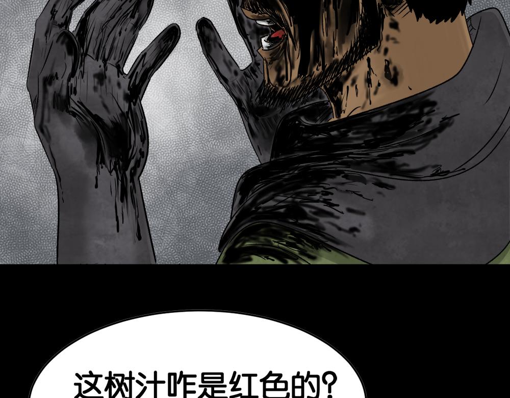 血树38