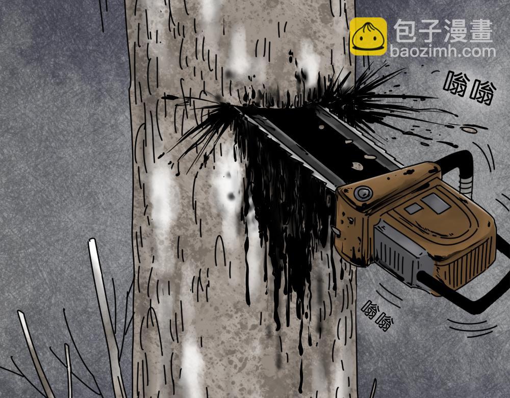 血树43