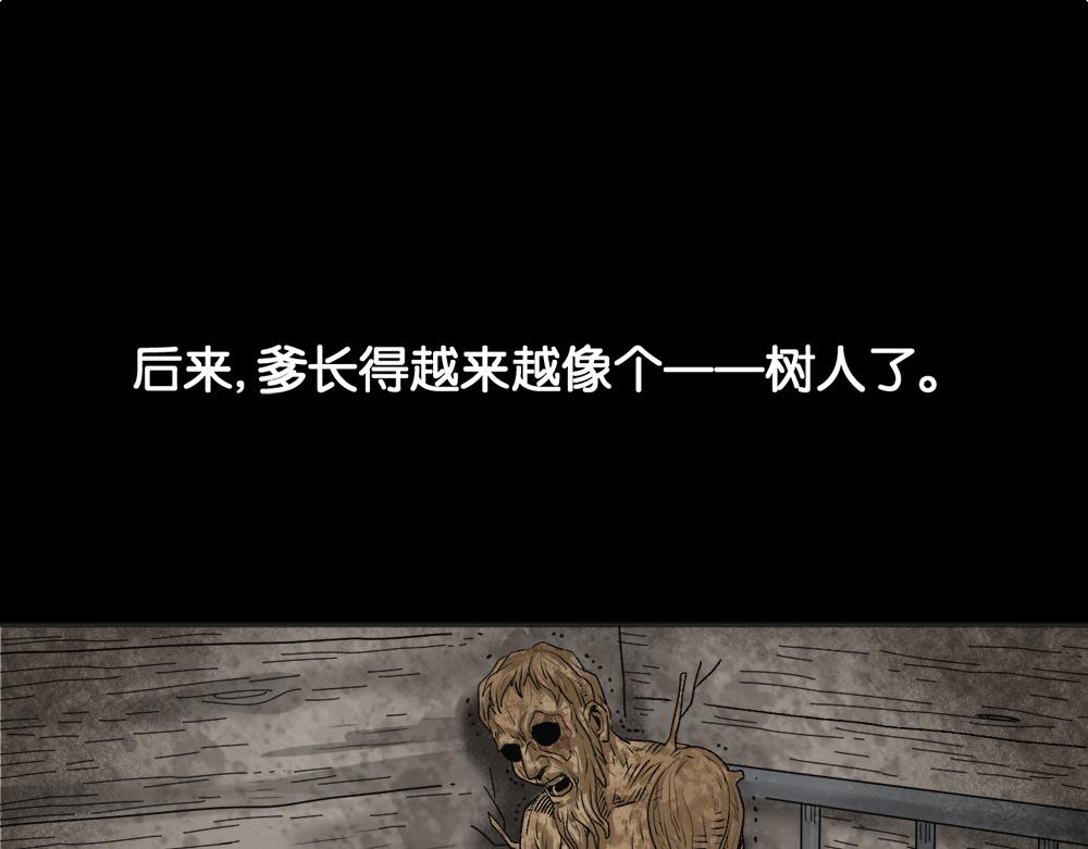 血树71