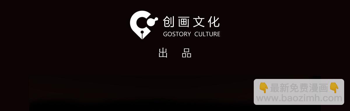 X手机13