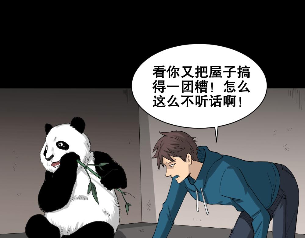 动物妈妈40