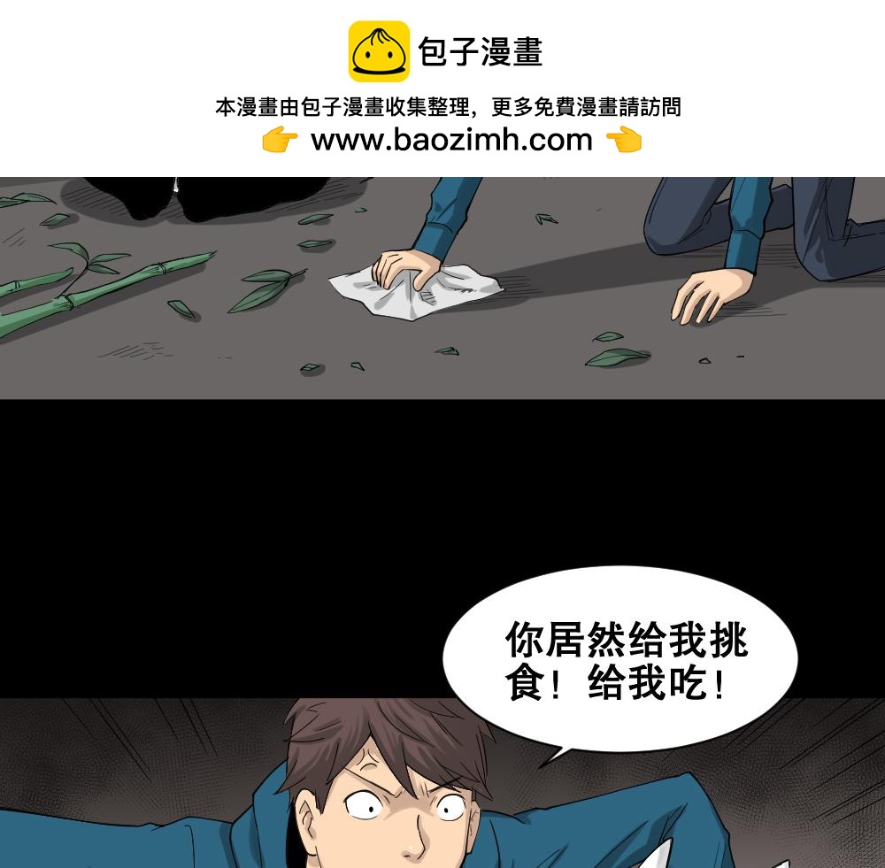 动物妈妈41