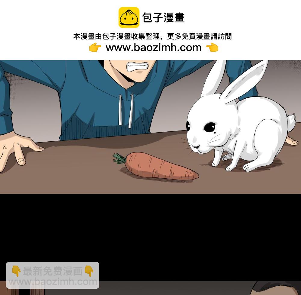 动物妈妈42