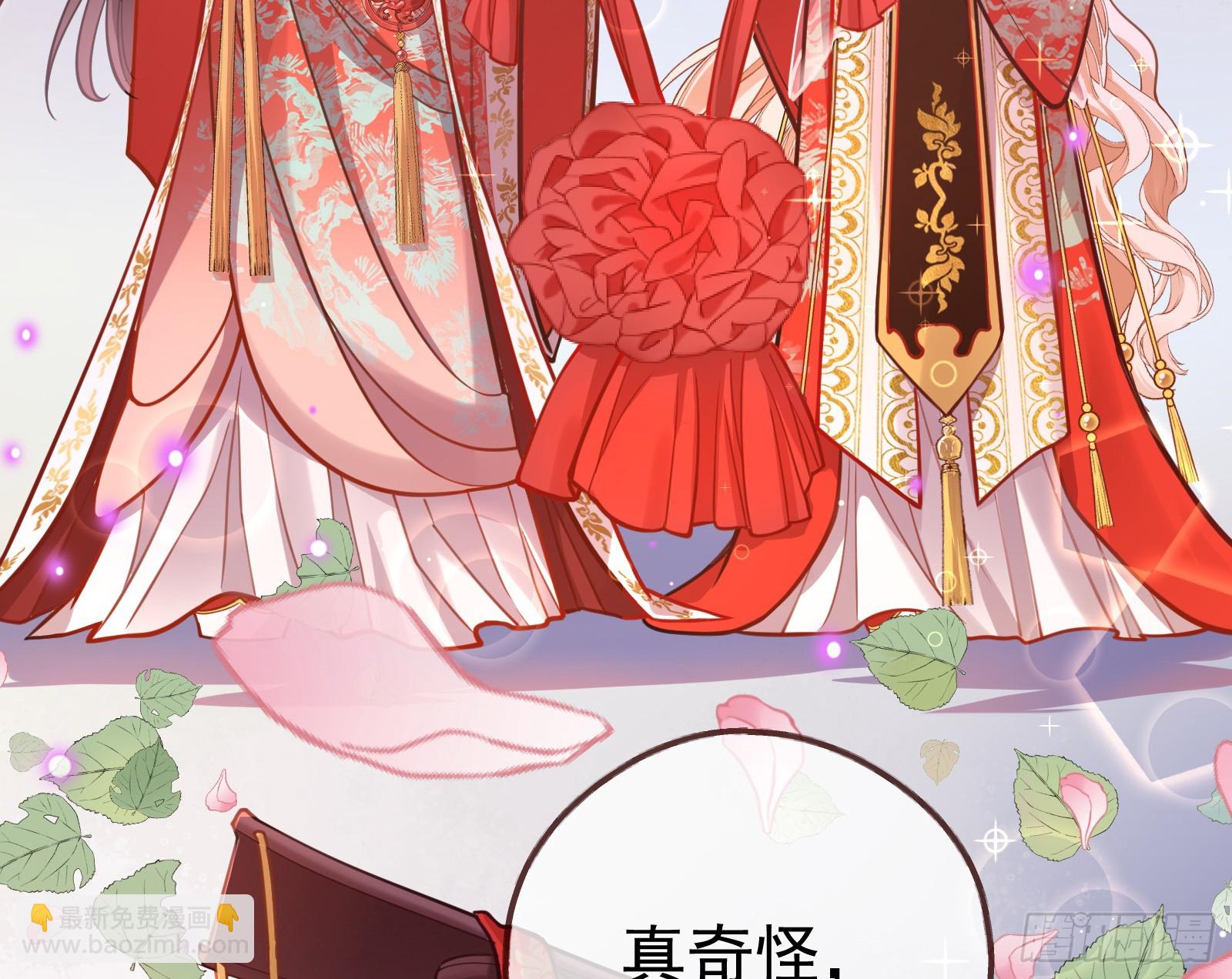 大婚之礼28