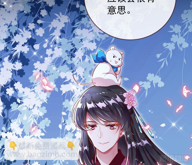 弃车保帅71
