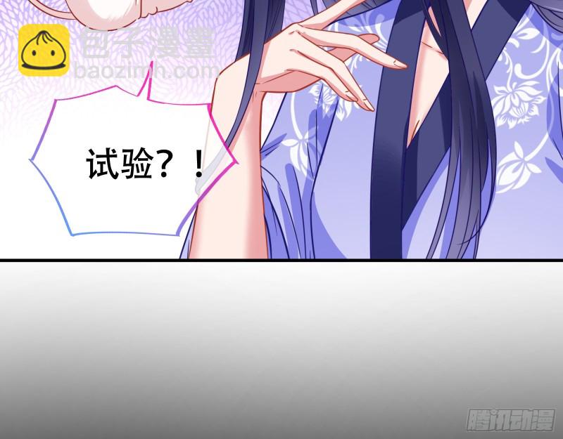 试验11