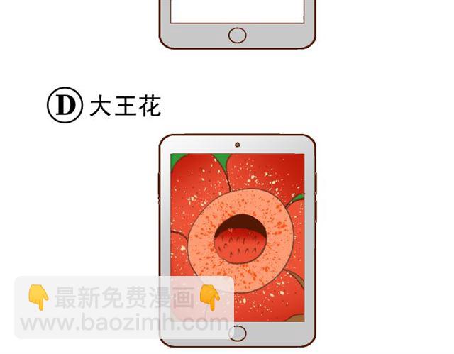 第214.5话 休刊话46