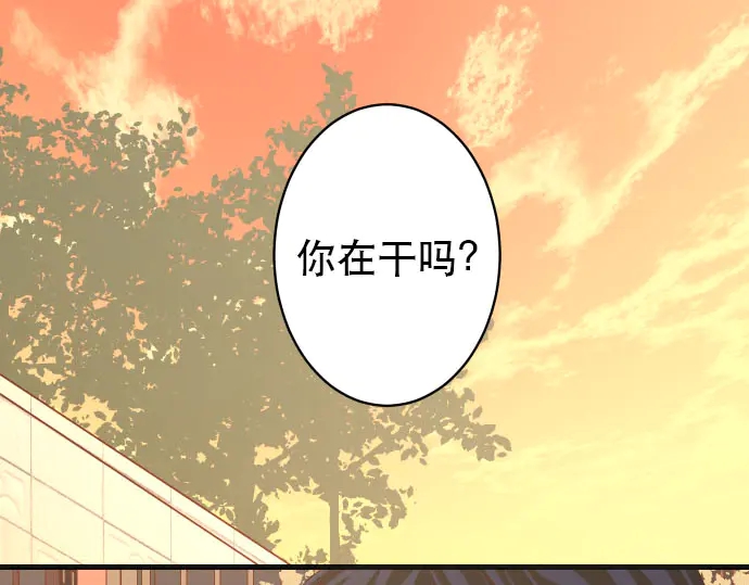 第256话 操弄3