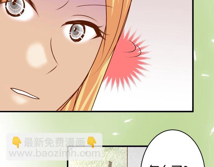 第138话 曾经44