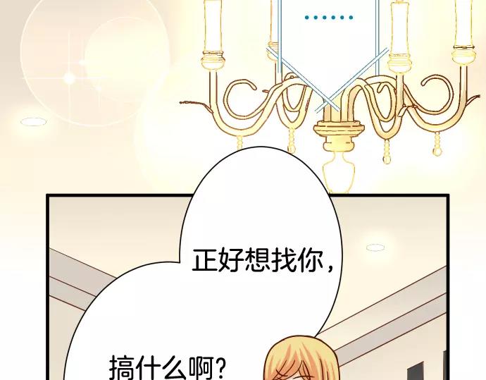 第142话 选择23