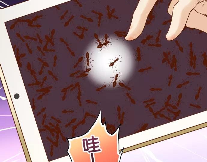 第142话 选择77