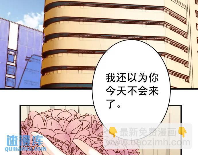 第314话 分析54
